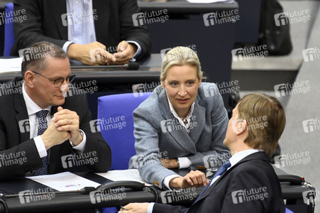 213. Sitzung des Deutschen Bundestages in Berlin