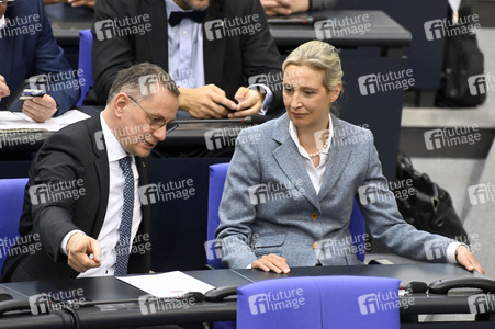 213. Sitzung des Deutschen Bundestages in Berlin