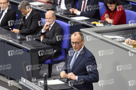 213. Sitzung des Deutschen Bundestages in Berlin