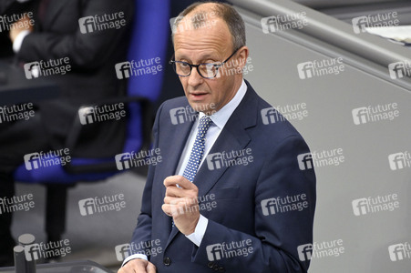 213. Sitzung des Deutschen Bundestages in Berlin