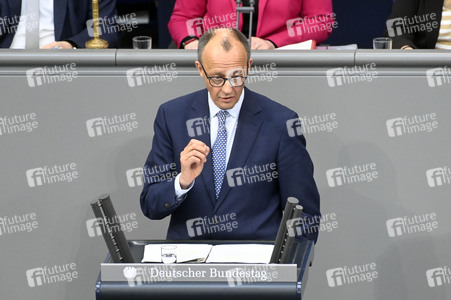213. Sitzung des Deutschen Bundestages in Berlin