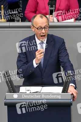 213. Sitzung des Deutschen Bundestages in Berlin