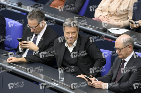 213. Sitzung des Deutschen Bundestages in Berlin