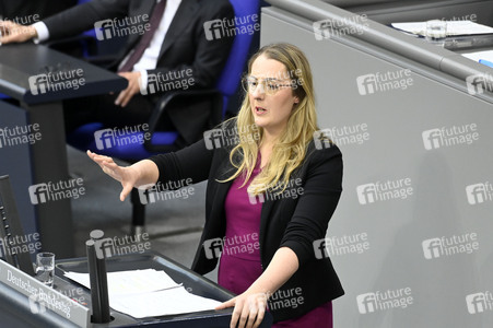 213. Sitzung des Deutschen Bundestages in Berlin