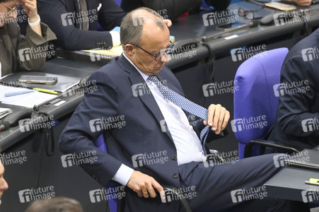 213. Sitzung des Deutschen Bundestages in Berlin