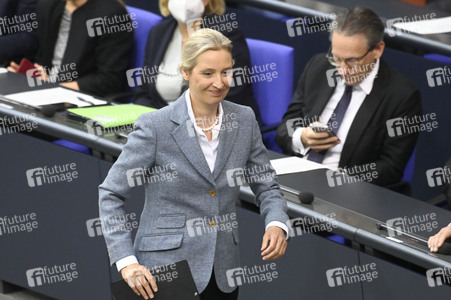 213. Sitzung des Deutschen Bundestages in Berlin