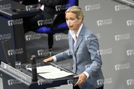 213. Sitzung des Deutschen Bundestages in Berlin