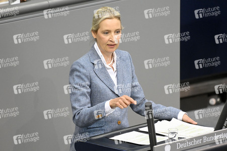 213. Sitzung des Deutschen Bundestages in Berlin