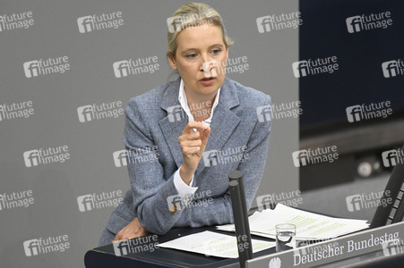 213. Sitzung des Deutschen Bundestages in Berlin