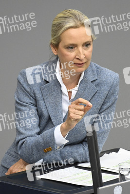 213. Sitzung des Deutschen Bundestages in Berlin