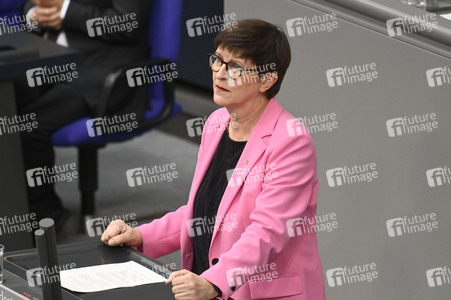 213. Sitzung des Deutschen Bundestages in Berlin