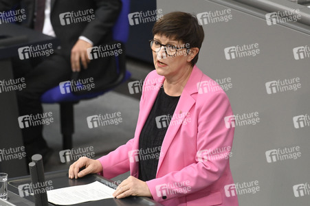 213. Sitzung des Deutschen Bundestages in Berlin