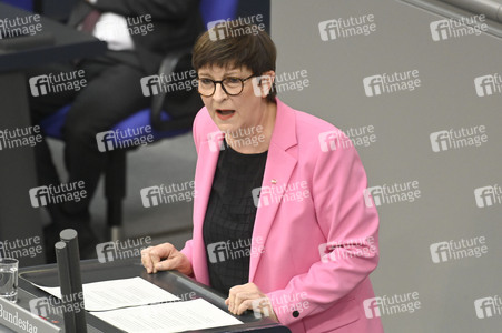 213. Sitzung des Deutschen Bundestages in Berlin