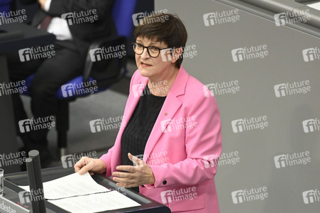 213. Sitzung des Deutschen Bundestages in Berlin