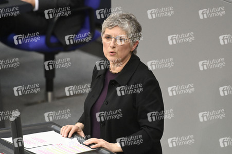 213. Sitzung des Deutschen Bundestages in Berlin