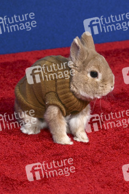 Filmpremiere 'Schneewittchen' in Los Angeles