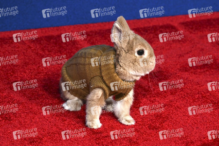 Filmpremiere 'Schneewittchen' in Los Angeles