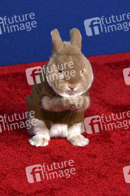 Filmpremiere 'Schneewittchen' in Los Angeles