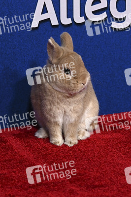 Filmpremiere 'Schneewittchen' in Los Angeles