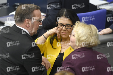 214. Sitzung des Deutschen Bundestages in Berlin