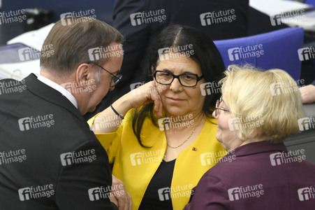 214. Sitzung des Deutschen Bundestages in Berlin