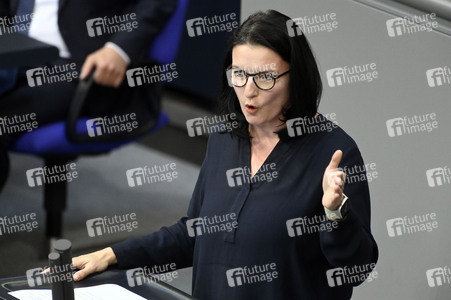 214. Sitzung des Deutschen Bundestages in Berlin