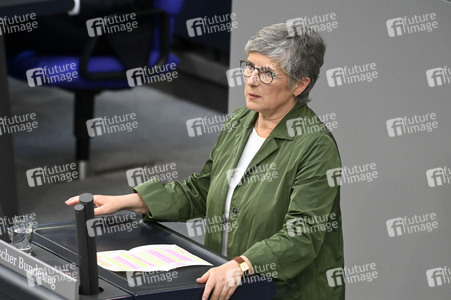 214. Sitzung des Deutschen Bundestages in Berlin