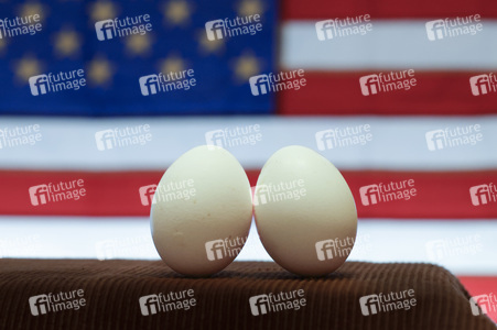 Symbolfoto Eier-Engpass in den USA