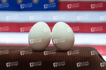 Symbolfoto Eier-Engpass in den USA