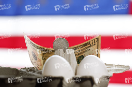 Symbolfoto Eier-Engpass in den USA