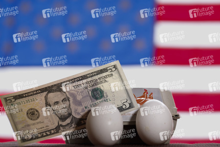 Symbolfoto Eier-Engpass in den USA