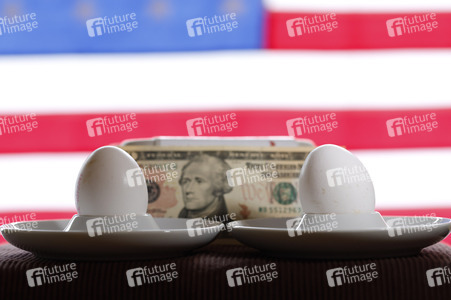 Symbolfoto Eier-Engpass in den USA