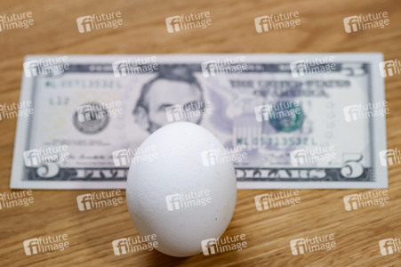 Symbolfoto Eier-Engpass in den USA