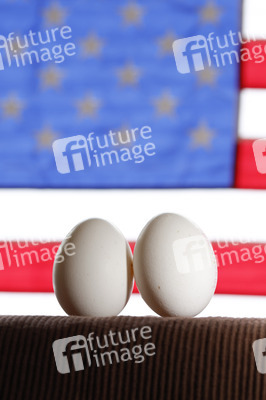 Symbolfoto Eier-Engpass in den USA