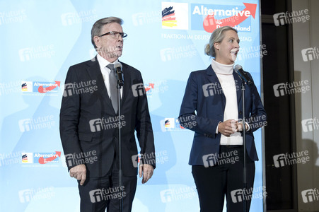 Fraktionssitzung der AfD-Bundestagsfraktion in Berlin