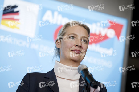 Fraktionssitzung der AfD-Bundestagsfraktion in Berlin