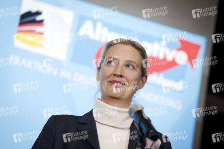 Fraktionssitzung der AfD-Bundestagsfraktion in Berlin