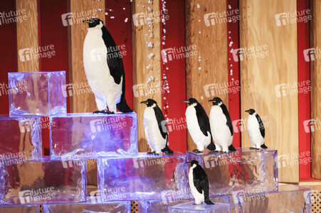 Eckart von Hirschhausen auf der lit.Cologne 2025 in Köln