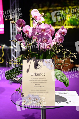 Taufe einer Orchidee auf den Namen 'Suzanne von Borsody' in Dresden
