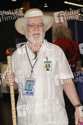 WonderCon 2025 in Anaheim