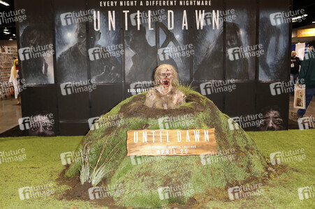 WonderCon 2025 in Anaheim