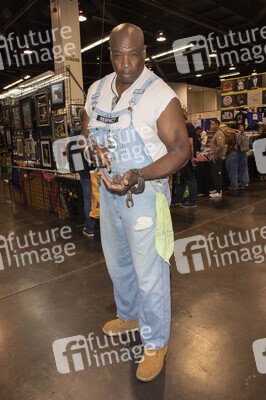 WonderCon 2025 in Anaheim