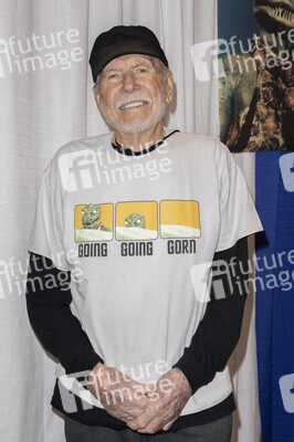 WonderCon 2025 in Anaheim