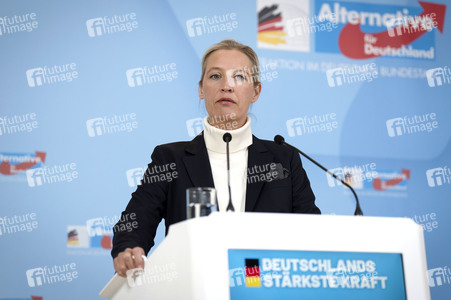 Pressestatement der AfD in Berlin