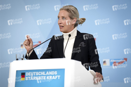 Pressestatement der AfD in Berlin