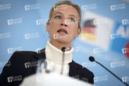 Pressestatement der AfD in Berlin