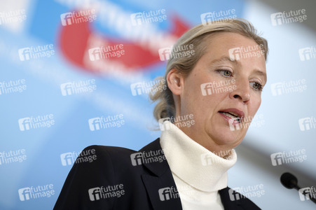 Pressestatement der AfD in Berlin