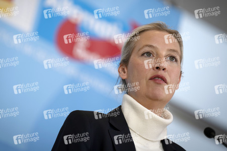 Pressestatement der AfD in Berlin