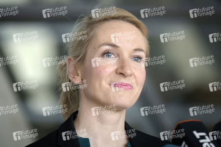 Pressestatement der Partei Die Linke in Berlin