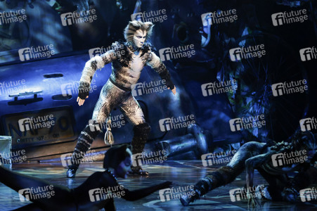 Musical-Premiere 'Cats' in Düsseldorf